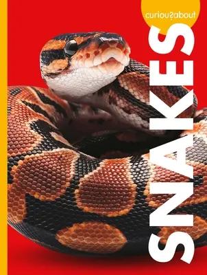 Curioși despre șerpi - Curious about Snakes