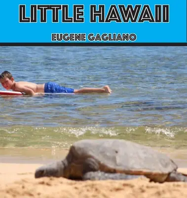 Micul Hawaii - Little Hawaii