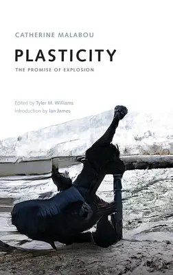 Plasticitatea: Promisiunea exploziei - Plasticity: The Promise of Explosion
