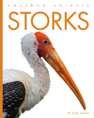Berzele - Storks
