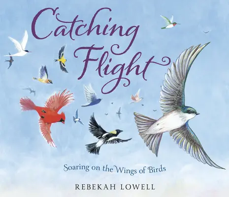 Prinderea zborului: Zborul pe aripile păsărilor (Soaring on the Wings of Birds) - Catching Flight: Soaring on the Wings of Birds