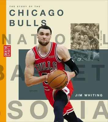 Povestea lui Chicago Bulls - The Story of the Chicago Bulls