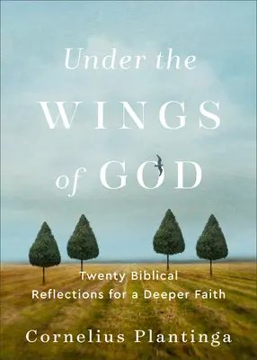 Sub aripile lui Dumnezeu: Douăzeci de reflecții biblice pentru o credință mai profundă - Under the Wings of God: Twenty Biblical Reflections for a Deeper Faith