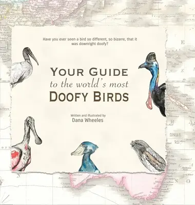 Ghidul tău pentru cele mai ciudate păsări din lume - Your Guide to the World's Most Doofy Birds