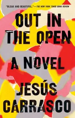În aer liber - Out in the Open