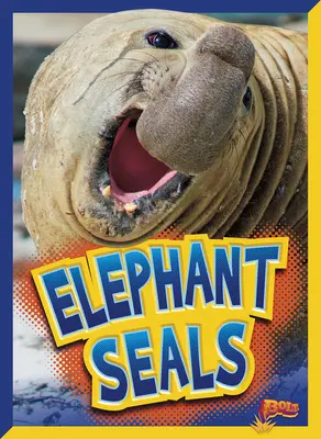 Elefanți de focă - Elephant Seals