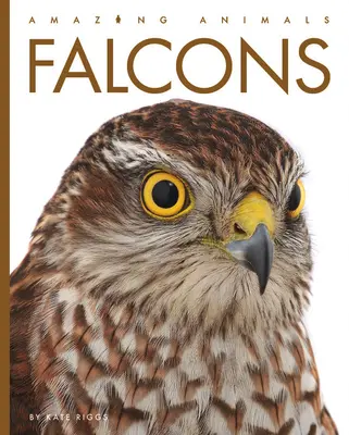 Șoimii - Falcons