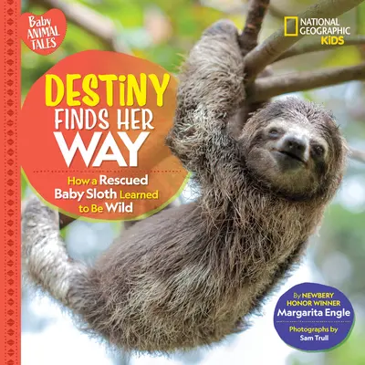 Destiny Finds Her Way: Cum a învățat un pui de leneș salvat să fie sălbatic - Destiny Finds Her Way: How a Rescued Baby Sloth Learned to Be Wild
