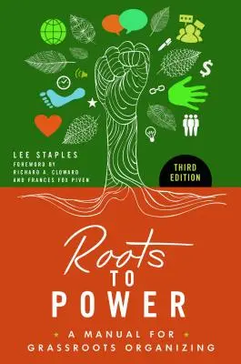 De la rădăcini la putere: Un manual de organizare la nivel local - Roots to Power: A Manual for Grassroots Organizing