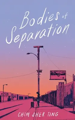 Corpuri de separare - Bodies of Separation