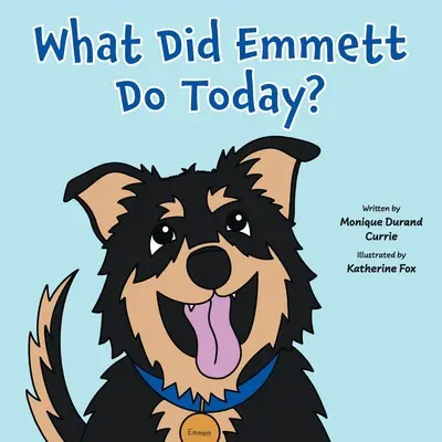 Ce a făcut Emmett astăzi? - What Did Emmett Do Today?
