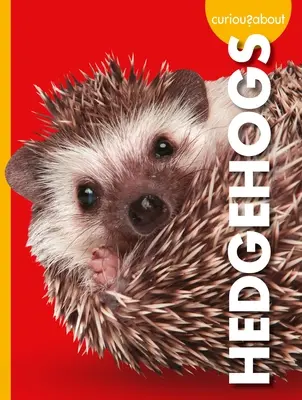 Curioși despre arici - Curious about Hedgehogs