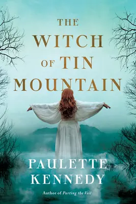 Vrăjitoarea din Tin Mountain - The Witch of Tin Mountain