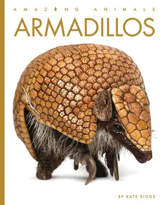 Armadillo - Armadillos