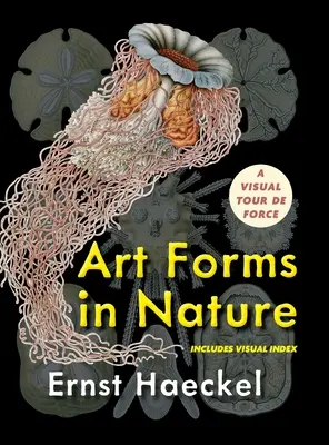 Forme de artă în natură (Dover Pictorial Archive) - Art Forms in Nature (Dover Pictorial Archive)