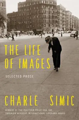 Viața imaginilor - The Life of Images