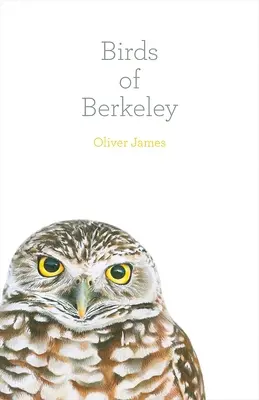 Păsările din Berkeley - Birds of Berkeley