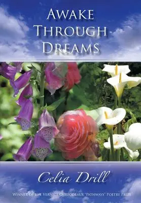 Treziți prin vise - Awake Through Dreams