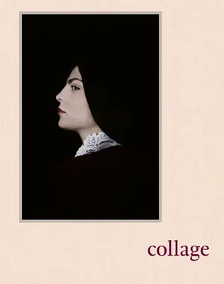 Colaj: Femeile de la Prix Pictet din 2008 - Collage: Women of the Prix Pictet Since 2008