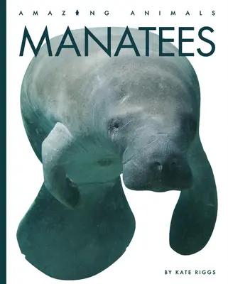 Manatee - Manatees