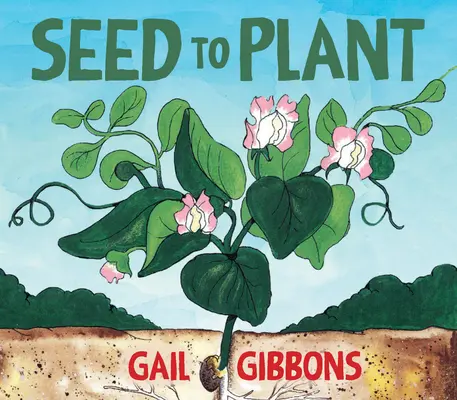 De la sămânță la plantă - Seed to Plant