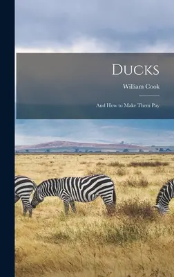 Rațele: Și cum să le faci să plătească - Ducks: And how to Make Them Pay