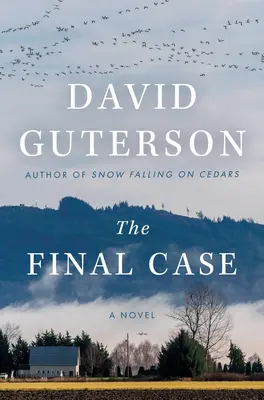 Cazul final - The Final Case
