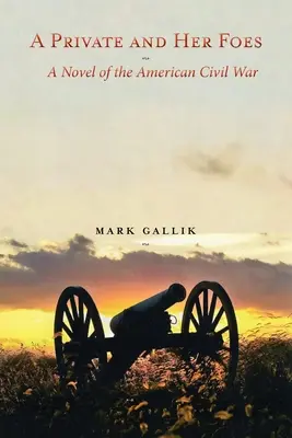 A Private and Her Foes: Un roman al războiului civil american - A Private and Her Foes: A Novel of the American Civil War