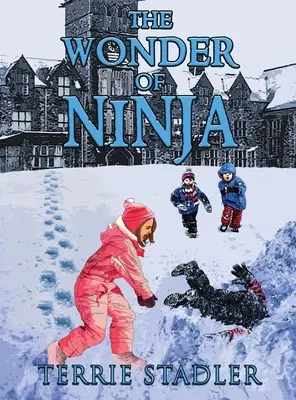 Minunea lui Ninja - The Wonder of Ninja