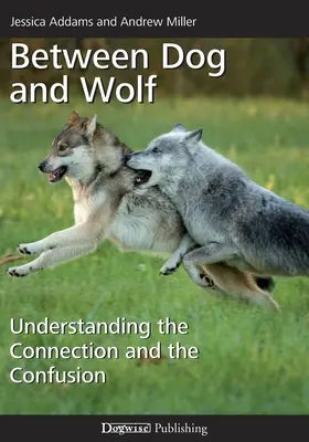 Între câine și lup: Înțelegerea legăturii și a confuziei - Between Dog and Wolf: Understanding the Connection and the Confusion