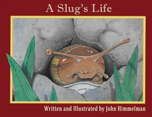 Viața unui melc - A Slug's Life