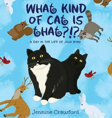 What Kind of Cat is That?!?: O zi din viața lui Jojo Bynx - What Kind of Cat is That?!?: A Day in the Life of Jojo Bynx