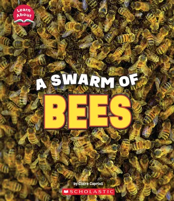 Un roi de albine (Învățați despre: animale) - A Swarm of Bees (Learn About: Animals)