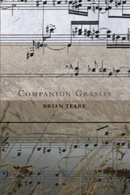 Ierburi însoțitoare - Companion Grasses