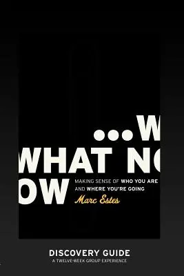 Ce facem acum - Ghid de descoperire - What Now - Discovery Guide