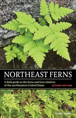 Ferns din nord-est - Northeast Ferns