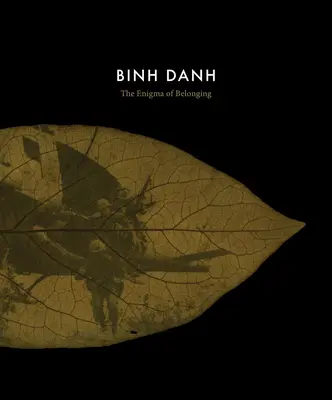 Binh Danh: Enigma apartenenței - Binh Danh: The Enigma of Belonging