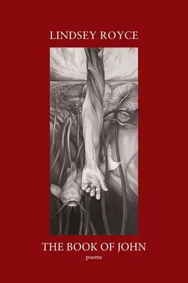 Cartea lui John - The Book of John