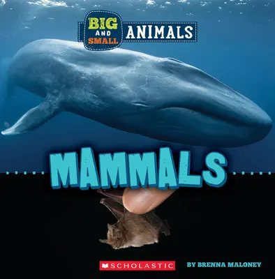 Mamifere (Lumea sălbatică: animale mari și mici) - Mammals (Wild World: Big and Small Animals)