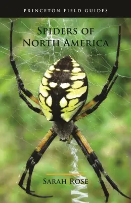 Păianjenii din America de Nord - Spiders of North America