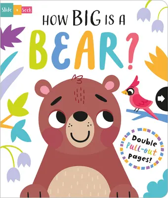 Cât de mare este un urs? - How Big Is a Bear?