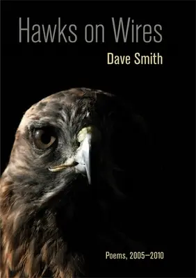 Hawks on Wires: Poezii, 2005-2010 - Hawks on Wires: Poems, 2005-2010