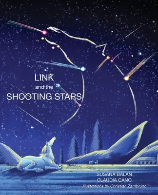 Link și stelele căzătoare (Link and the Shooting Stars) - Link and the Shooting Stars