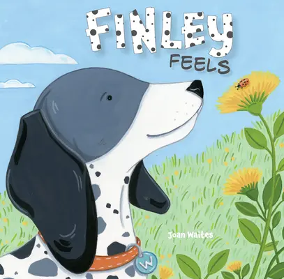 Finley simte - Finley Feels
