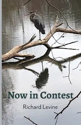 Acum în concurs - Now in Contest