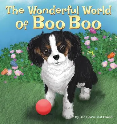 Minunata lume a lui Boo Boo - The Wonderful World Of Boo Boo