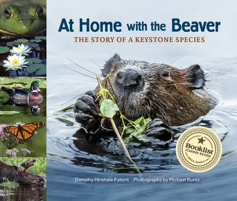 Acasă la castor: Povestea unei specii cheie - At Home with the Beaver: A Story of a Keystone Species