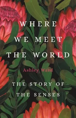 Unde întâlnim lumea: Povestea simțurilor - Where We Meet the World: The Story of the Senses