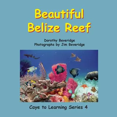 Frumosul recif Belize - Beautiful Belize Reef