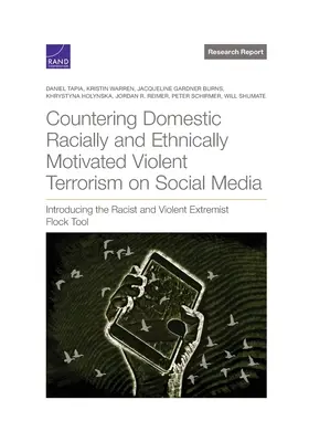 Countering Domestic Racially and Ethnically Motivated Violent Terrorism on Social Media: Introducerea instrumentului 